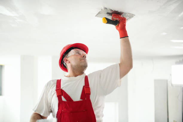 Best Acoustic or Soundproof Drywall Installation  in Danvers, IL